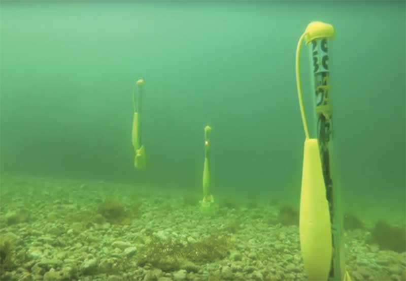 utilizing underwater robots to monitor oceans 2