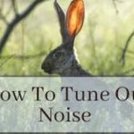 How to block background noise while concentrating