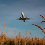 When Should You Book Flights