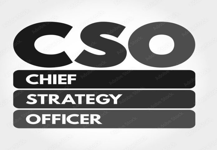 What Does a Chief Strategy Officer (CSO) Do