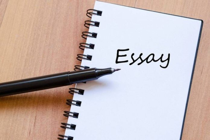 the types of Essays Writing