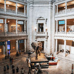 Museums Around the World