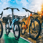 Ultimate Guide to Choosing the Right Bicycle