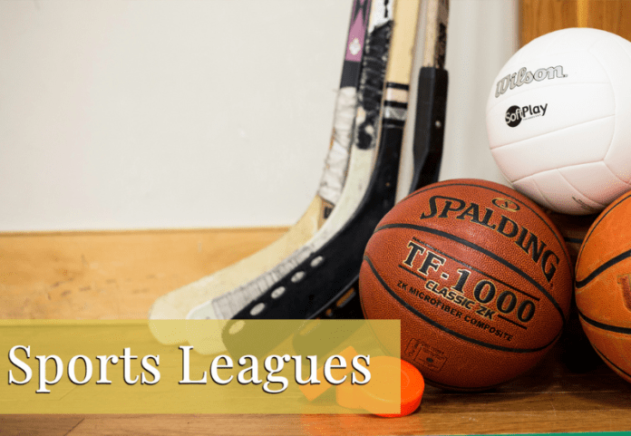 Sports Leagues