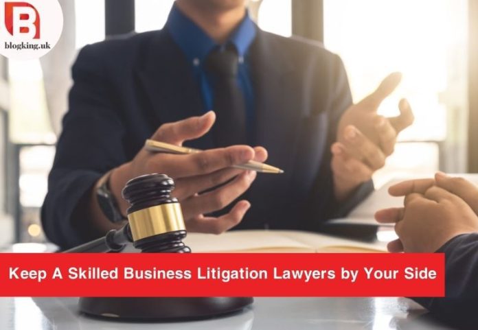 Business Litigation Lawyers