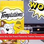 Temptations Dry Cat Food