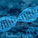 Differences-in-Gene-Expression-Within-Cells